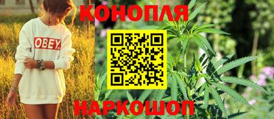 прущие грибы Кинель