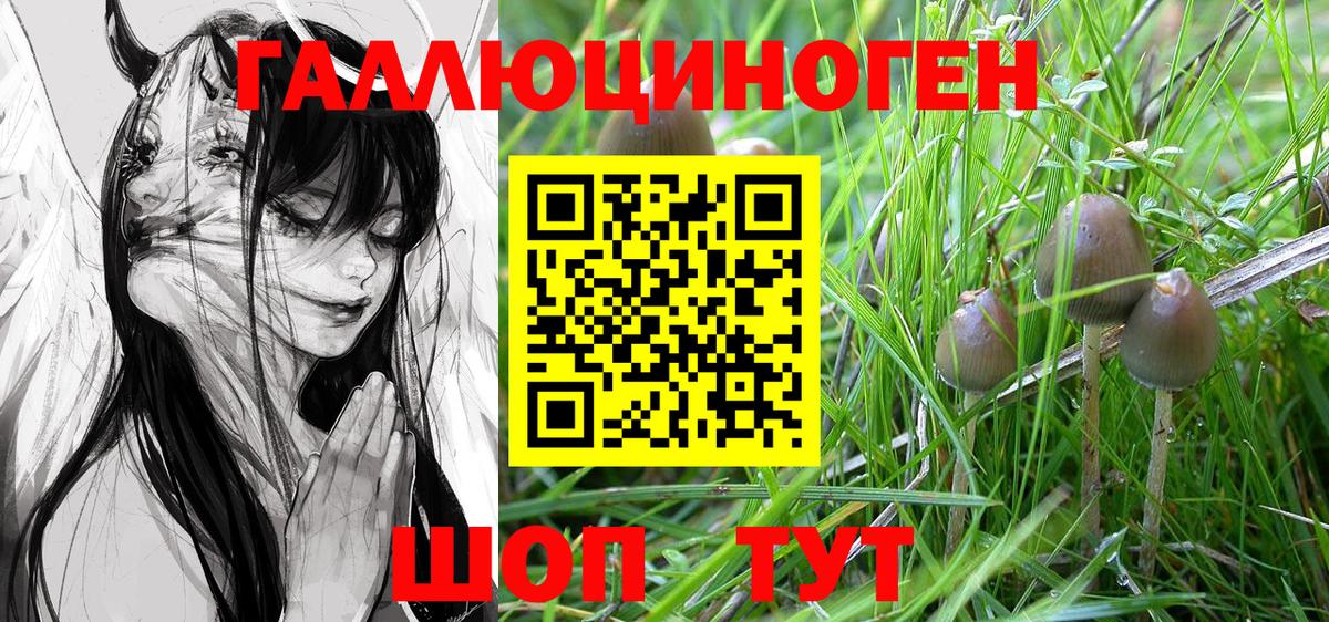 Красногорск  Галлюциногенные грибы мицелий  Вход с VPN 